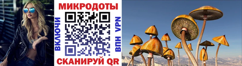 Галлюциногенные грибы мицелий  Зеленокумск 