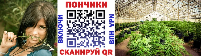 МАРИХУАНА OG Kush Зеленокумск
